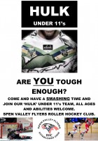 /album/photo-gallery-promotional-posters/hulk-under-11-s-jpg/